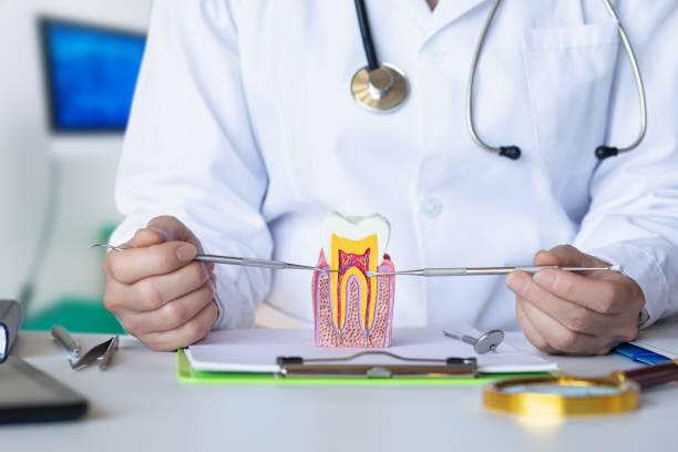 Best Emergency Cosmetic Dentistry (e.g., broken veneers) in Staples, MN
